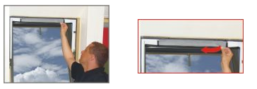 7._pollenszr_cserje2_kp.png